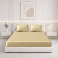 Tulip King Fitted Sheet with 2 Pillow Covers 125 GSM Micropeach Super Sateen Gold