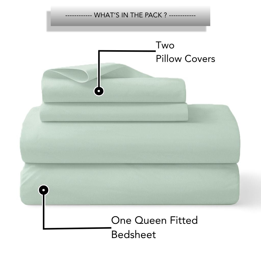 Tulip Queen Fitted Sheet with 2 Pillow Covers 125 GSM Micropeach Super Sateen Sky Blue